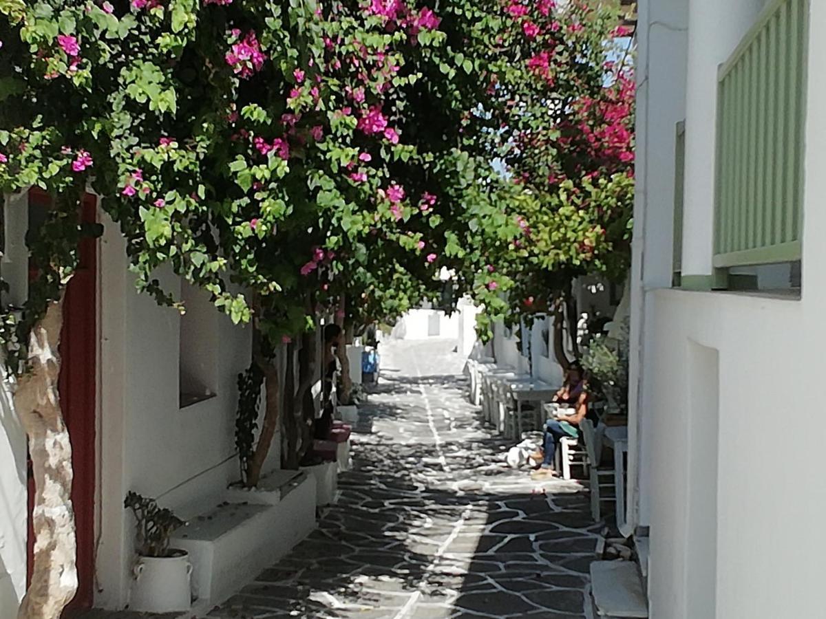 Aparthotel Sunloft-Paros Nausa Exteriér fotografie